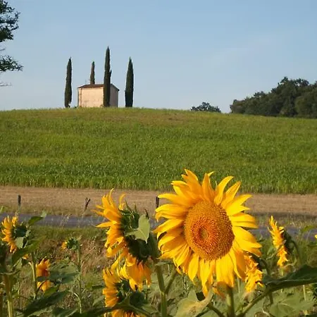 Podere Benevento * Molino Mazzetti