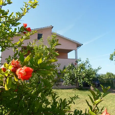 Podere Benevento Molino Mazzetti
